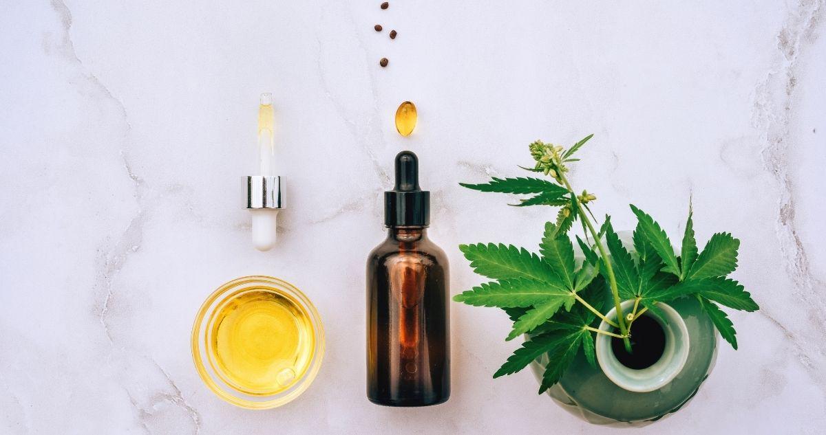 What Are Terpenes?