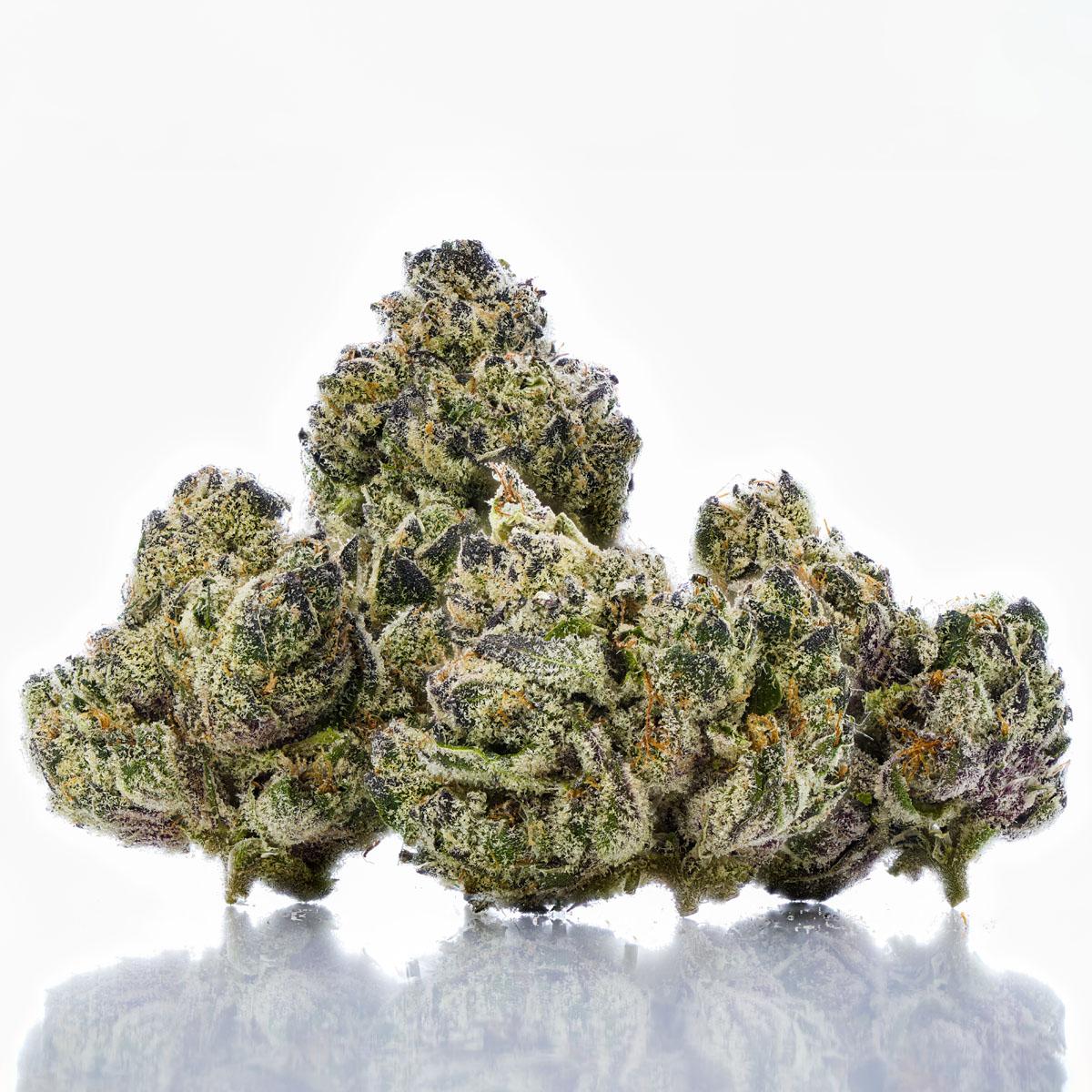 Splurge Guide Verano Reserve Bud